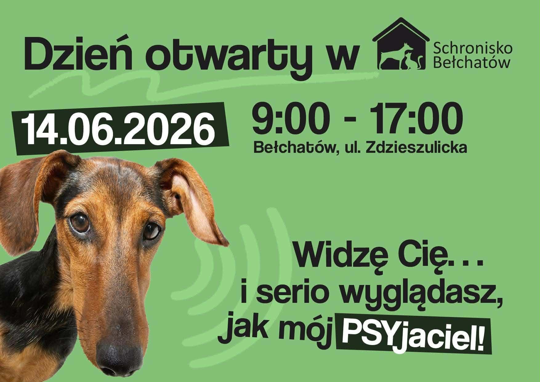 plakat dzień otwarty w schronisku