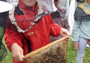 Kevin w specjalnym stroju odważnie trzyma pszczoły.