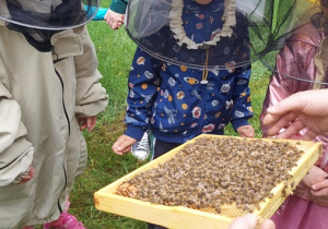 Dzieci oglądają pszczoły w specjanym kobinezonie i kapeluszu.