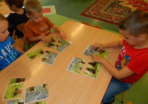 Chłopcy układają puzzle- zdjęcie świstaka