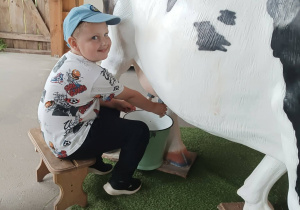 Chłopiec doi krowę.