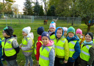 Dzieci oglądają alpaki przy kościlenym ogrodzie